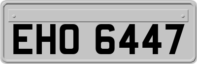 EHO6447