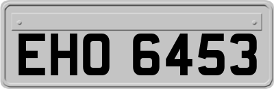 EHO6453