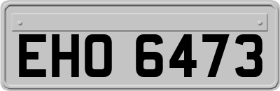 EHO6473