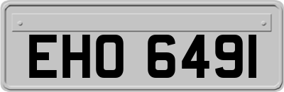 EHO6491