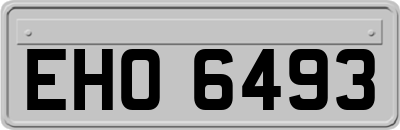 EHO6493