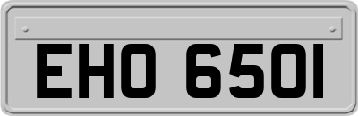 EHO6501