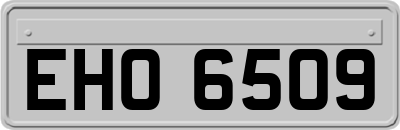 EHO6509