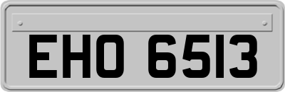 EHO6513