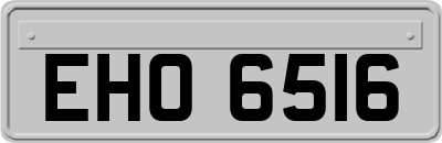 EHO6516