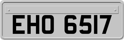 EHO6517