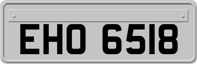 EHO6518