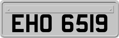 EHO6519