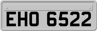 EHO6522