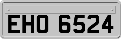EHO6524