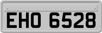 EHO6528