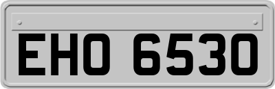 EHO6530
