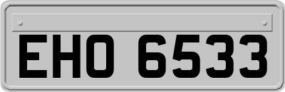 EHO6533