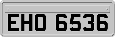 EHO6536