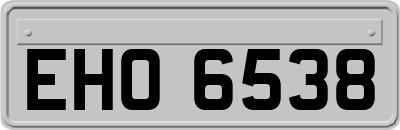 EHO6538