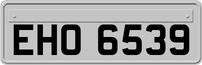 EHO6539