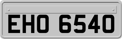 EHO6540