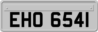 EHO6541