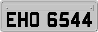 EHO6544