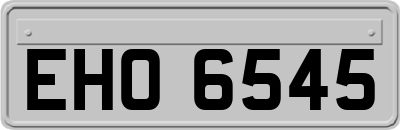 EHO6545