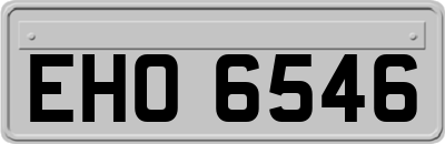 EHO6546