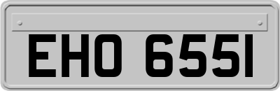 EHO6551
