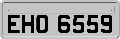 EHO6559