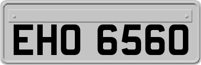 EHO6560