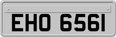EHO6561
