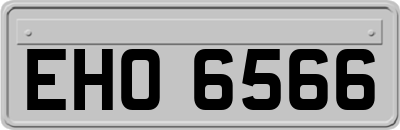 EHO6566