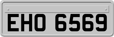 EHO6569