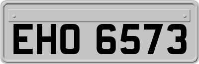 EHO6573