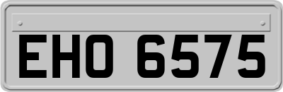 EHO6575