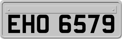 EHO6579