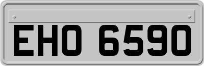 EHO6590