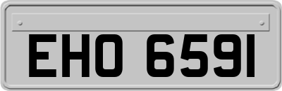 EHO6591