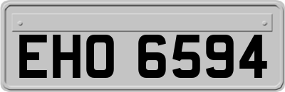 EHO6594