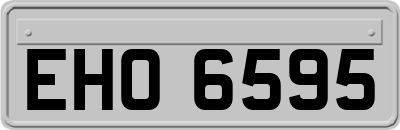 EHO6595