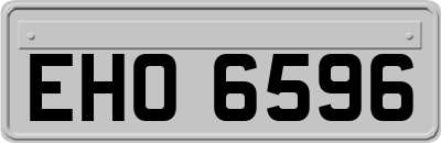 EHO6596