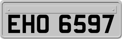 EHO6597
