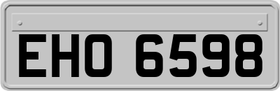 EHO6598