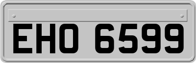 EHO6599