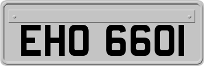 EHO6601