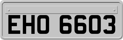 EHO6603