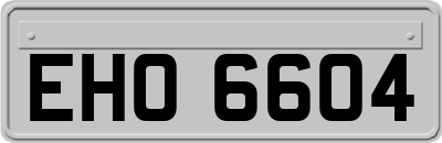 EHO6604