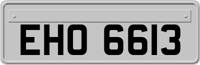 EHO6613