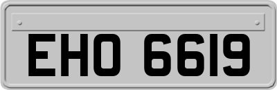 EHO6619