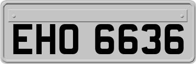 EHO6636