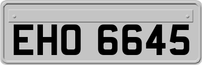 EHO6645