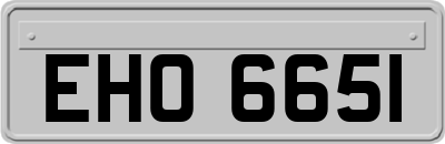EHO6651